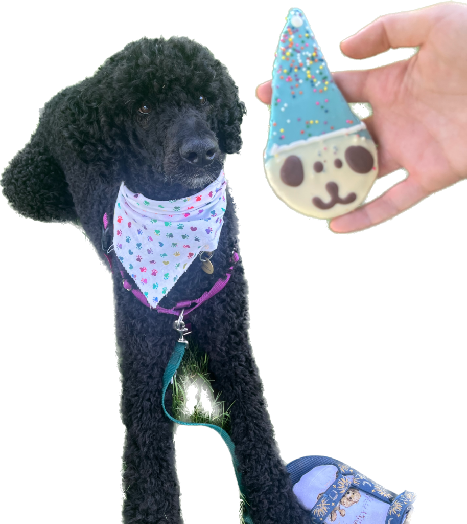 Contact Tamarack Therapy Dogs